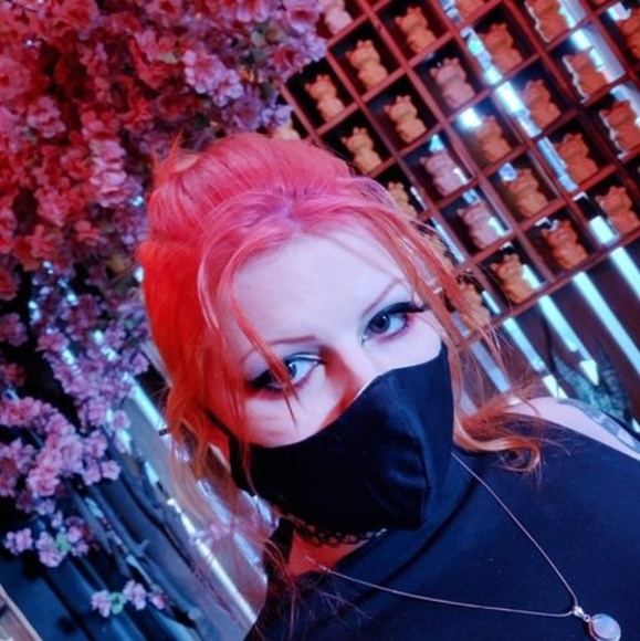 Meet your Posher, Rexie - Picture 3 of 4